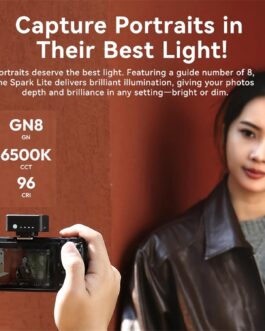 ULANZI SL02 Mini Camera Flash with Video Light, GN8 6500K Camera Speedlite Flashes, 4 Power Levels (1/8~1/1), Mini Manual Flash, Single Contact Hot Shoe for Sony, Fujifilm, Panasonic Cameras
