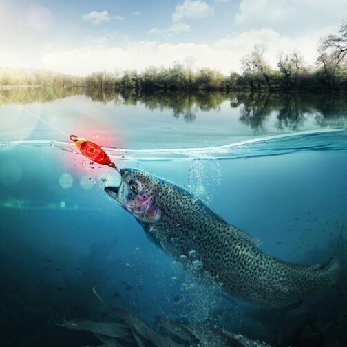 Fishing Lure Light, Pack of 5 LED Deep Drop Fishing Light, Eye Shape, Glow Once You Go Water, Underwater Fishing Bait Lamp for Boat, Sea, Ice Fishing – Bild 9