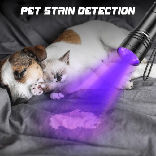 UV Torch Pack of 2 Mini UV Black Light Torch with 12 LEDs, Ultraviolet Light with 395 nm for Geocaching, Pet Urine Detectors, Pets Urine Detector etc. Includes 6 AAA Batteries – Bild 6