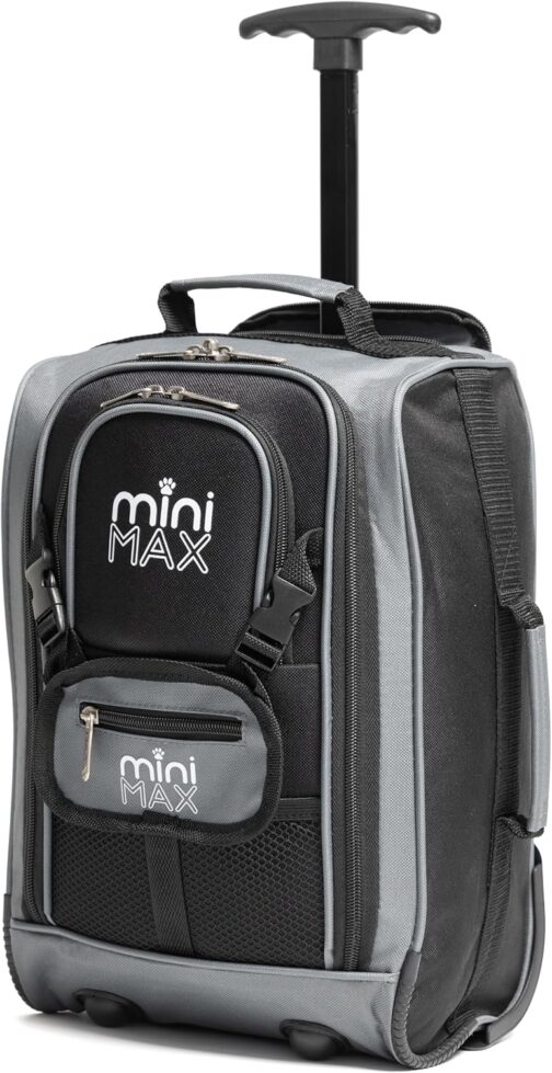 Aerolite MiniMAX 20L Ryanair 40 x 20 x 25 Maximum Size Hand Luggage Under Seat Trolley Backpack Hand Luggage Bag for Cabin with 2 Year Warranty, black, Backpack