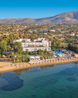 Brown Beach Evia Island