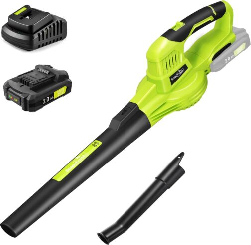 SnapFresh Leaf Blower Cordless Leaf Blower 20 V 210 km/h 240 m³/h / 2 Air Speed / with Battery and Charger / Lightweight Compact 1.2 kg for Garden Yard Lawn Care (Green)