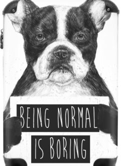 NoBoringSuitcases.com® Suitcase Hand Luggage Trolley Trolley Suitcase Small Travel Suitcase with 4 Wheels – Dog – Sign – Text – Animals – 55 x 35 x 20 cm – Photo Case – Cabin Case – Board Luggage, dog