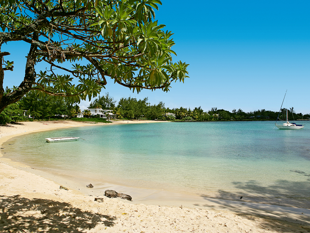 Buche jetzt deinen Traumurlaub im Hibiscus Boutique Hotel in  ➝ schon ab 1662 €!