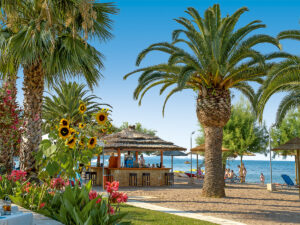 Buche jetzt deinen Traumurlaub im Three Stars Beach Hotel in  ➝ schon ab 753 €!