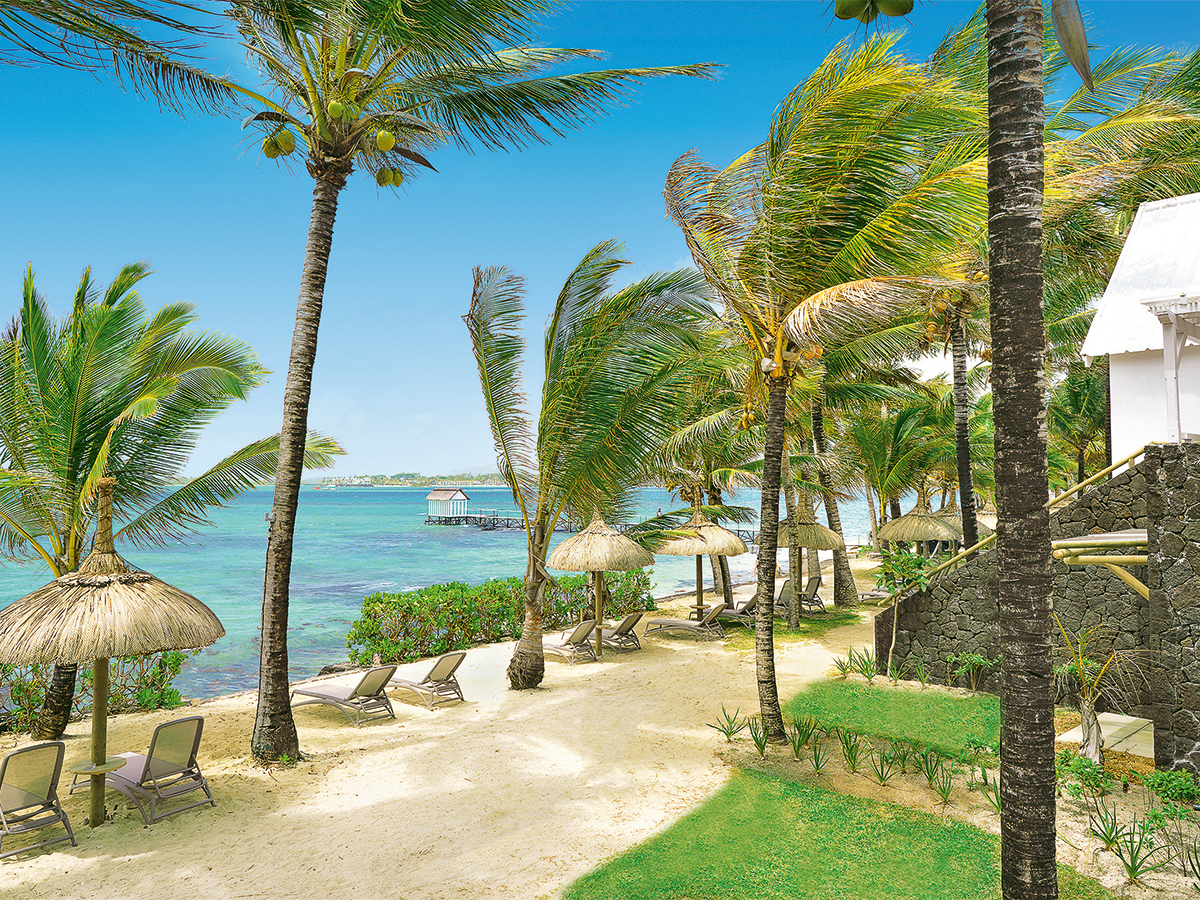 Buche jetzt deinen Traumurlaub im Tropical Attitude in  ➝ schon ab 1616 €!